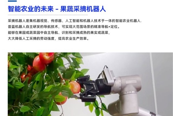 协作机械臂精准采摘末端 — 柔性包络捕获